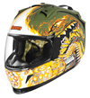 Icon Domain II Warthog Helmet